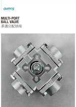 Multi-port Multi-port