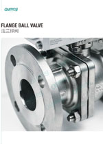 Flange Flange